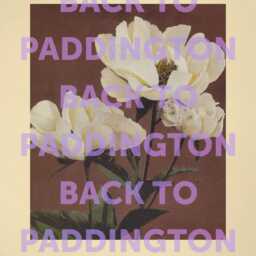Back To Paddington, Amanda Cronin Quote Real Housewives Of London - Funny Bravo Wall Art Gift For Fans Home Decor Print - thumbnail 3