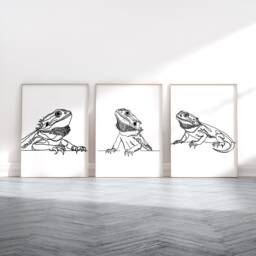 Bearded Dragon Poster Set - Of 3 Prints - Line Drawing Print Home Decor Pictures Artwork Painting Bedroom Wall Art Gifts - thumbnail 1