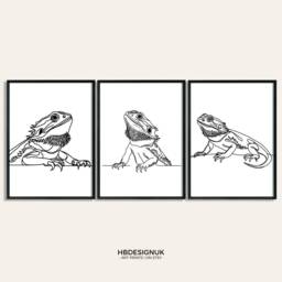 Bearded Dragon Poster Set - Of 3 Prints - Line Drawing Print Home Decor Pictures Artwork Painting Bedroom Wall Art Gifts - thumbnail 2