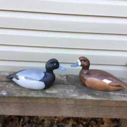Bluebill Decoy - thumbnail 4