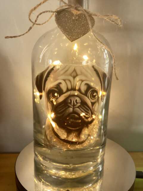Personalised Pug Light Up Bottle, Bottle Lamp With Gift Messaging Service & Bag