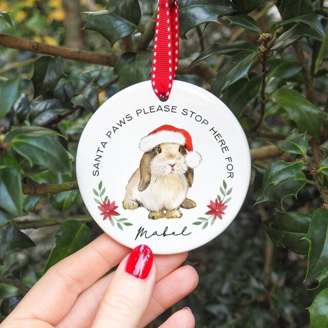 Bunny Christmas Ceramic Ornament, Rabbit Christmas, Mum Gift, Bun Dad Present, Personalised Bauble, Lover Secret Santa - image 1
