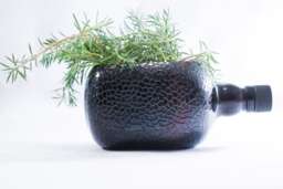 Succulent Herb Kitchen Planter - Snack Bowl Made From Beautiful Amber Old Monk Rum Bottle