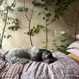 "Pillowcase Made With Organic Liberty Fabric " - thumbnail 3