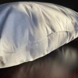 26 Inch Feather Down Pillow Insert - thumbnail 3