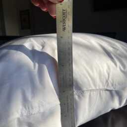 26 Inch Feather Down Pillow Insert - thumbnail 2