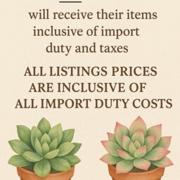 Faux Succulent Planter Artificial Foliage Wood Centrepiece, Modern Decor - thumbnail 2