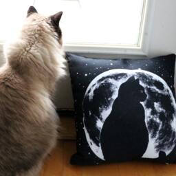 Cat Silhouette in Moon Throw Pillow 16 X - thumbnail 2