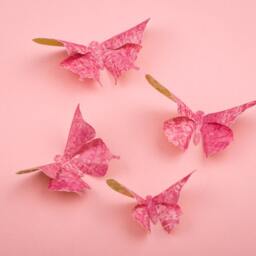 3D Butterfly Wall Art Fuchsia Damask Paper Butterflies For Decor, Nursery, Children's Room - thumbnail 2
