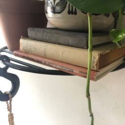 Half Moon Wall Mount Hanging Plant Holder Shelf Side Table - Small/Medium - thumbnail 4