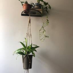 Half Moon Wall Mount Hanging Plant Holder Shelf Side Table - Small/Medium - thumbnail 2