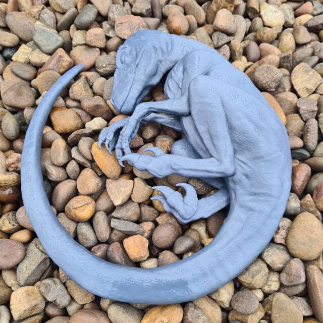 Sleeping Baby Velociraptor Art - Dinosaur 3D Printed Multiple Colours Available - image 1
