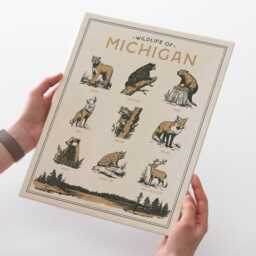 Michigan Wildlife Wall Art Print - Vintage Poster Design, Archival Quality Matte Fine Art Print. Outdoor, Wilderness Gift. Animal - thumbnail 2