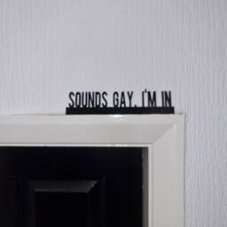Sounds Gay, I'm in Door Topper, Shelf Decor, Wall Quirky Home Interior Gift, Door Decoration - thumbnail 1