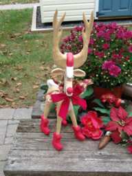 Hand Carved Pine Reindeer Rustic Christmas Decor - 20 - thumbnail 2