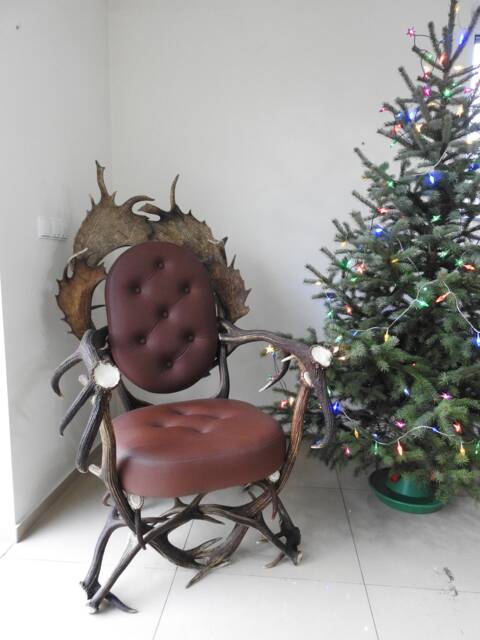 Real Antler Armchair With Fallow Antlers - image 1