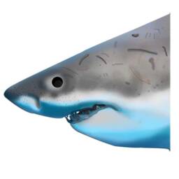 Jaws - Shark Wall Decal -Peel & Stick Great White Sticker Ocean Decor Head Reusable Fabric Material Vwaq Pa22 - thumbnail 2