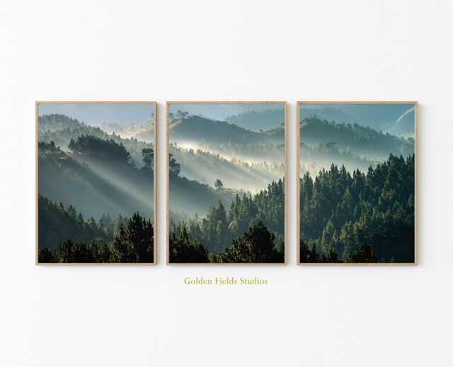 Forest Poster Set - Green Pine Tree Wall Art Misty Woodland Nature Print Vertical Three Piece Triptych - image 1
