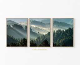 Forest Poster Set - Green Pine Tree Wall Art Misty Woodland Nature Print Vertical Three Piece Triptych - thumbnail 1