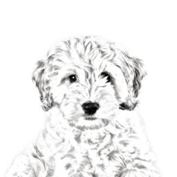 Cockapoo - Wooden Stand For Candles/Pens With The Image Of A Dog New Collection - thumbnail 2