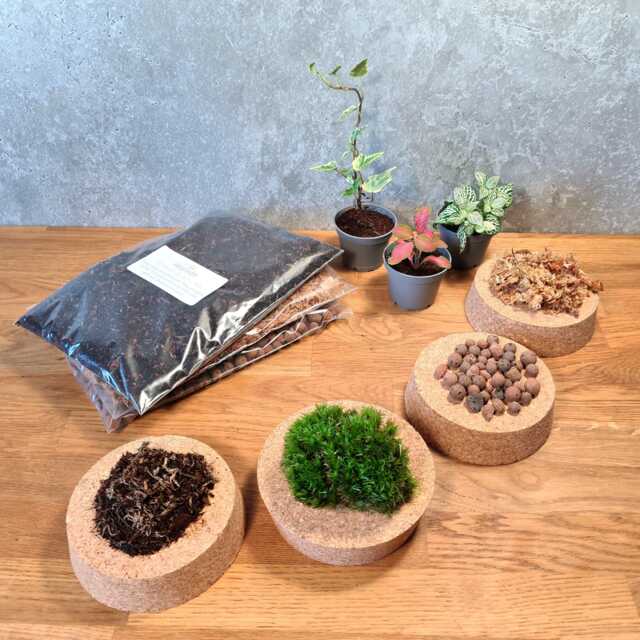 Diy Terrarium Kit Live Moss, Substrate, Leca - Mindfulness Gift - image 1