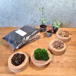 Diy Terrarium Kit Live Moss, Substrate, Leca - Mindfulness Gift