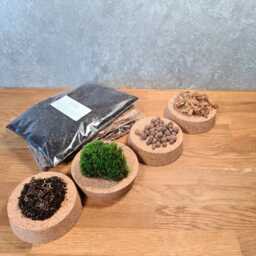 Diy Terrarium Kit Live Moss, Substrate, Leca - Mindfulness Gift - thumbnail 2