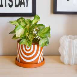 Abstract Terracotta Rainbow Concrete Planter Handmade Home Decor - thumbnail 1