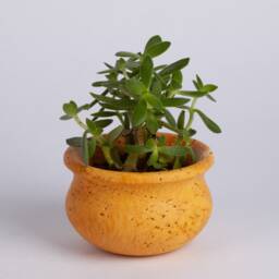 Natural Travertine Succulent Pot Brown-Yellow-Beige Marble, 3.5 - thumbnail 2