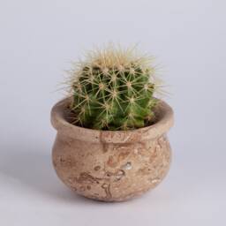 Natural Travertine Succulent Pot Brown-Yellow-Beige Marble, 3.5
