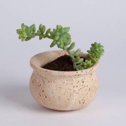 Natural Travertine Succulent Pot Brown-Yellow-Beige Marble, 3.5 - thumbnail 3