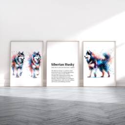 Siberian Husky Prints - Set Of 3 Posters - Watercolor Definition Wall Art Colourful Painting Room Decor Dogs Pet Artwork Gift Image - thumbnail 1