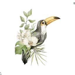 Toucan Wall Sticker, Jungle Stickers, Safari Room Decor, Tropical Jungle Sticker - thumbnail 3
