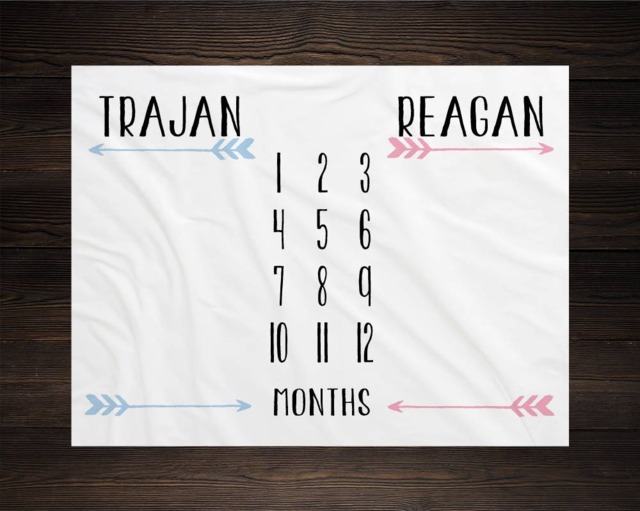 Twin Baby Milestone Blanket Month Growth Tracker Fleece Shower Newborn Gift Minky Boy Girl - image 1