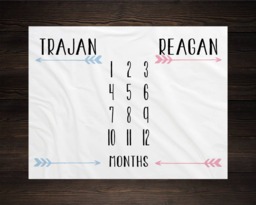 Twin Baby Milestone Blanket Month Growth Tracker Fleece Shower Newborn Gift Minky Boy Girl - thumbnail 1