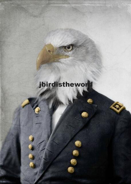 Us Patriotic Decor, Large Bird Wall Art, Bald Eagle, Murica, History Teacher, Gift For Veteran, Civil War Print, American Americana - image 1