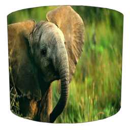Elephant Drum Lampshade For Ceiling Light Pendants Or Table Lamp Bases - thumbnail 3