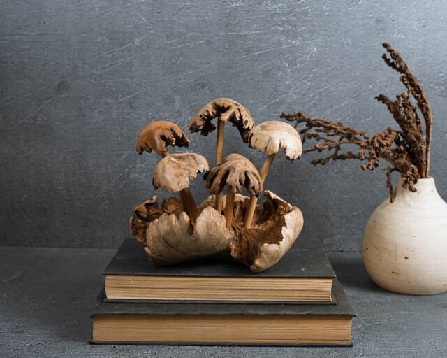 Exotic Wood Mushroom Statue 6 - image 1