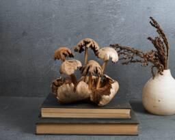Exotic Wood Mushroom Statue 6 - thumbnail 1