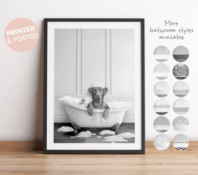 Black & White Fox Red Labrador Retriever Dog in A Bath Print, Bathing, Funny Bathroom Animal Bathtub, Tub Print - image 1