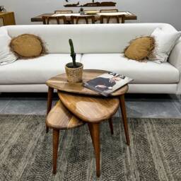 Walnut Nesting Coffee Table Set Mid Century Modern Pebble Tables For Living Room