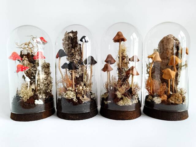 Mushroom Terrarium, Sculpture in Glass Cloche - image 1