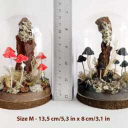 Mushroom Terrarium, Sculpture in Glass Cloche - thumbnail 4