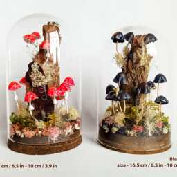 Mushroom Terrarium, Sculpture in Glass Cloche - thumbnail 2