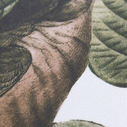 Vintage Botanical Bird Wallpaper Green Garden Wall Mural #10 - thumbnail 4