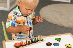 Lil House Kids Educational Toy Montessori Educational Activity Preschool Learning Kids Gift Wooden Eco Homeschool