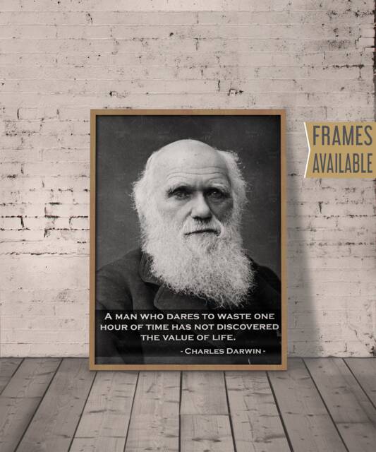 Charles Darwin Poster Charles Darwin Inspirational Quote Typography Art Print Framed Options, Gift For Him Her, Christmas - image 1