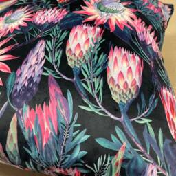 Hand Made Double Sided Plush 290Gsm Velvet - Large Cushion Cover With Protea Flowers in Black - thumbnail 3