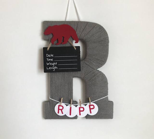 Hospital Door Hanger Boy/Nursery Decor Letter R Baby Bear Shower Gift - image 1