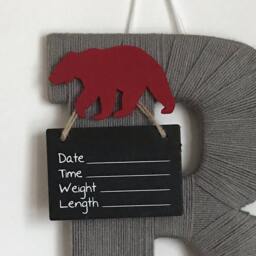 Hospital Door Hanger Boy/Nursery Decor Letter R Baby Bear Shower Gift - thumbnail 2